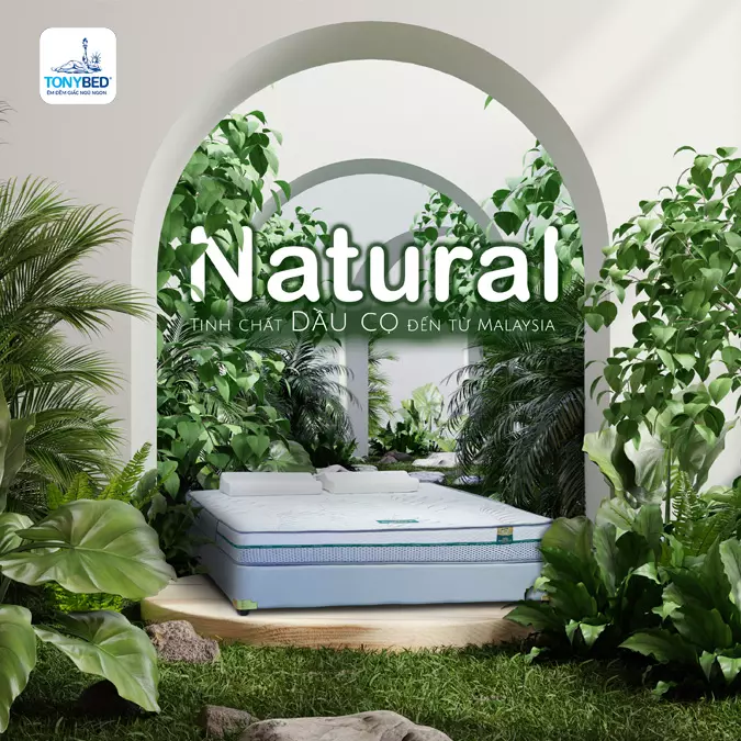 nệm cao su dầu cọ tonybed