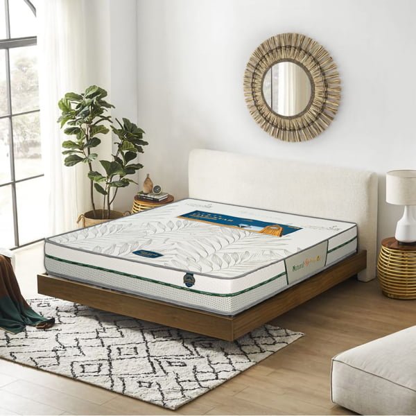 Nệm dầu cọ five star