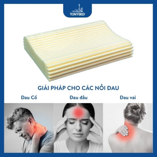Gối nằm dầu cọ (5)