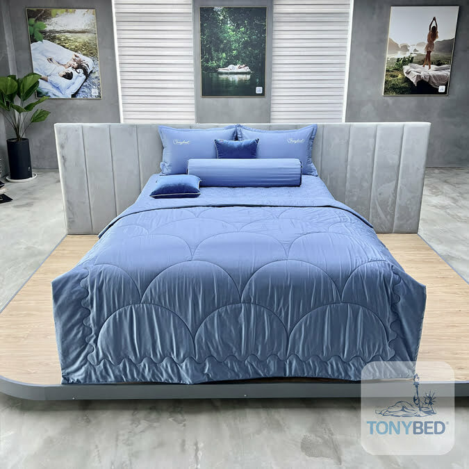 bộ ga drap tencel màu