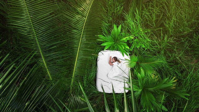 ưu điểm nệm dầu cọ cải thiện chất lượng giấc ngủ