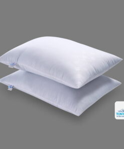 cap-roi-premium-tonybed-goc-xeo