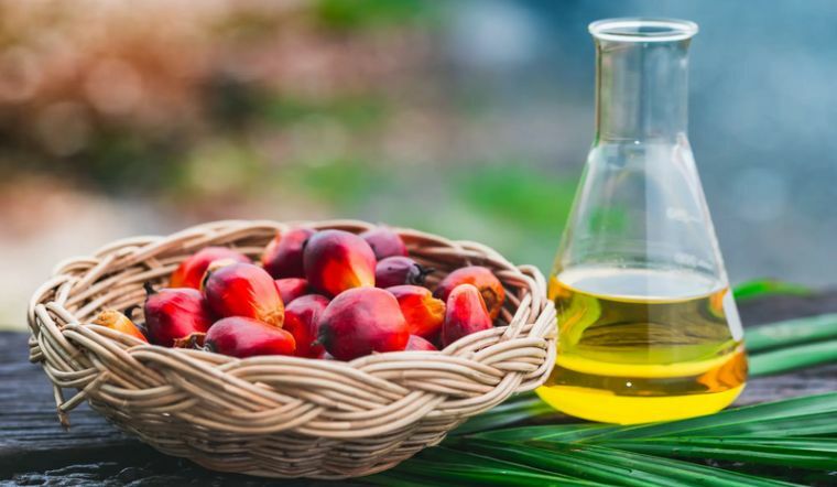dau-co-palm-oil