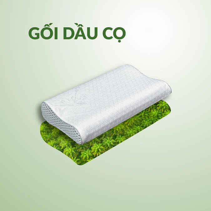 gối dầu cọ