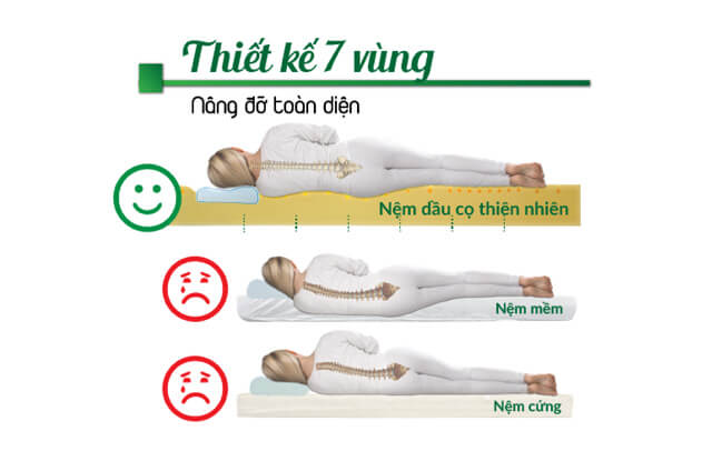 nem-dau-co-thiet-ke-7-vung-nang-do-toan-dien-co-the