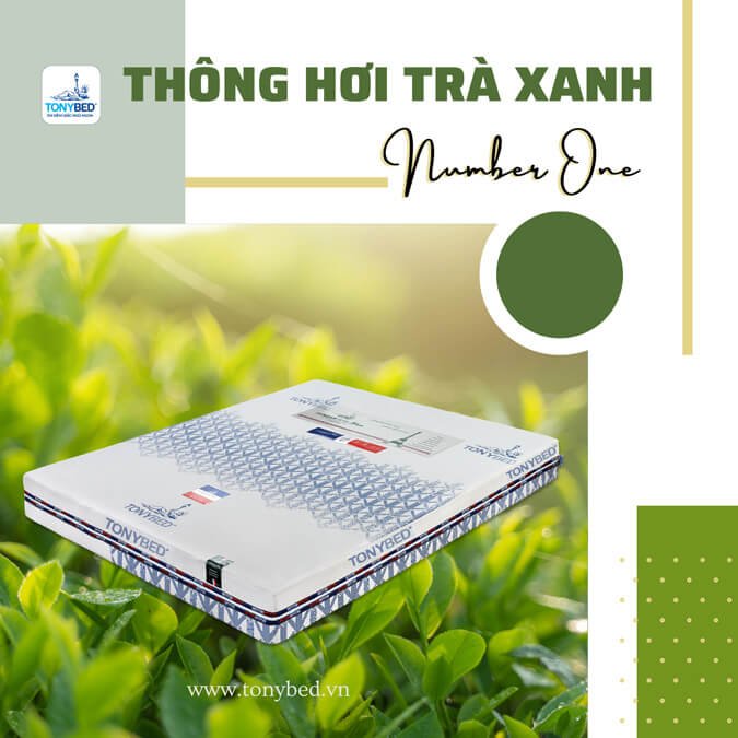 nệm thông hơi number one trà xanh