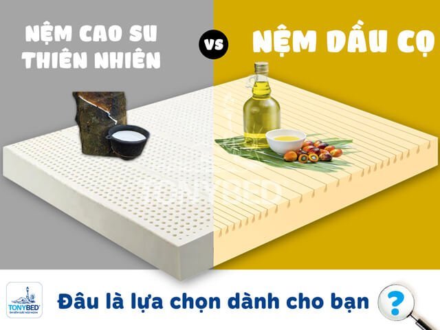 so sánh nệm cao su vs dầu cọ