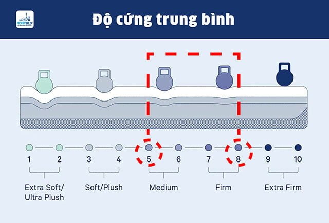 Do-cung-trung-binh-01
