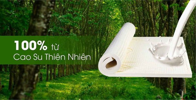 chat-lieu-nem-cao-su