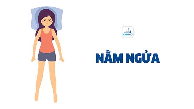 nem-phu-hop-voi-tu-the-ngu-nam-ngua