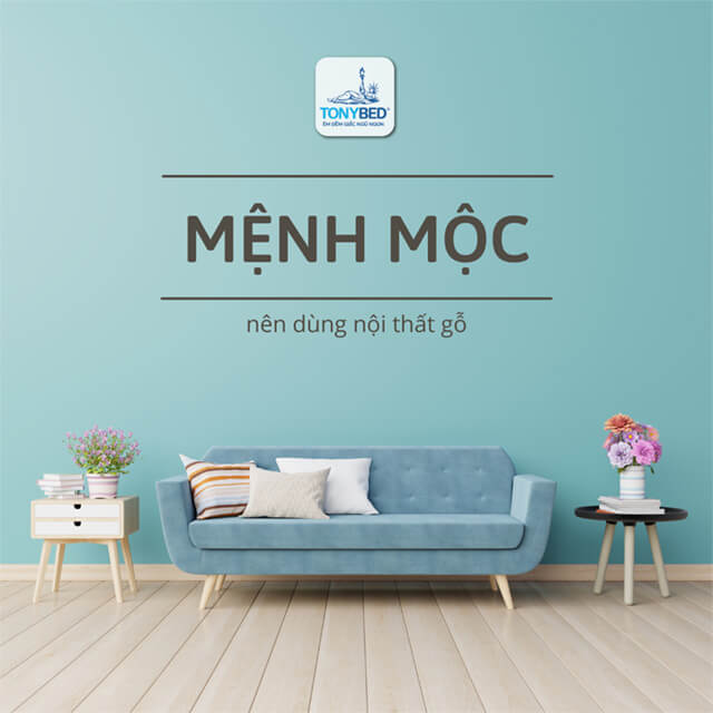 noi that trong nha cho nguoi menh moc