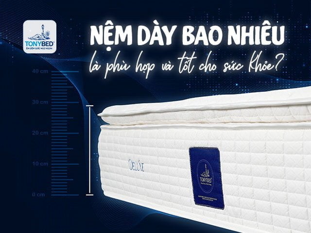 Độ dày nệm