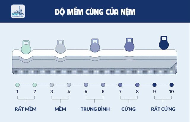 Xác định độ cứng mềm của nệm