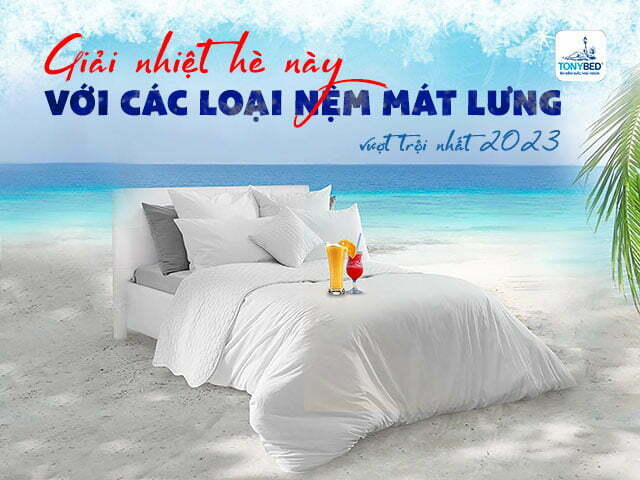 các loại nệm mát lưng