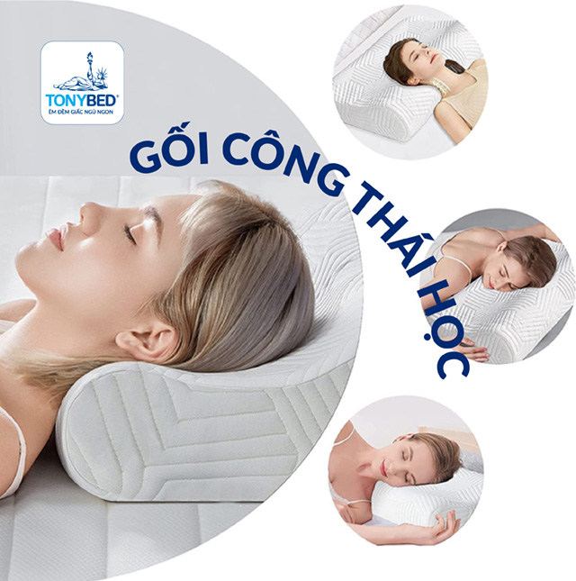 Gối công thái học