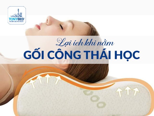 Gối công thái học