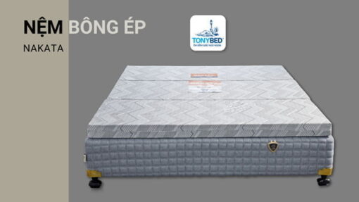 Nệm bông ép phù hợp cho người cao tuổi
