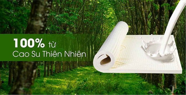 nem-cao-su-thien-nhien-100