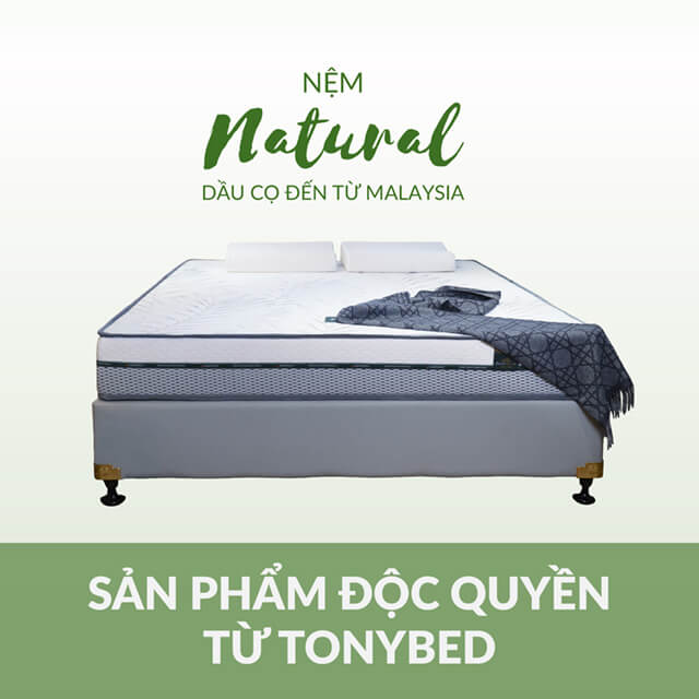 nem dau co du an khach san