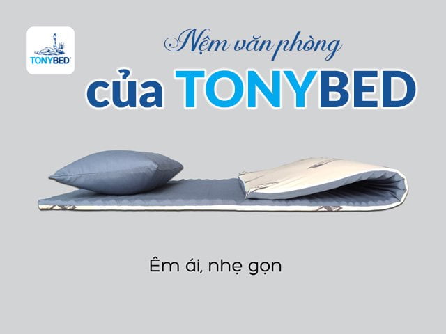 Nệm ngủ trưa văn phòng Tonybed