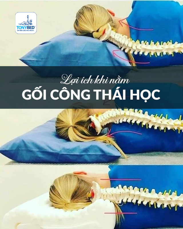 Những lợi ích gối công thái học mạng lại