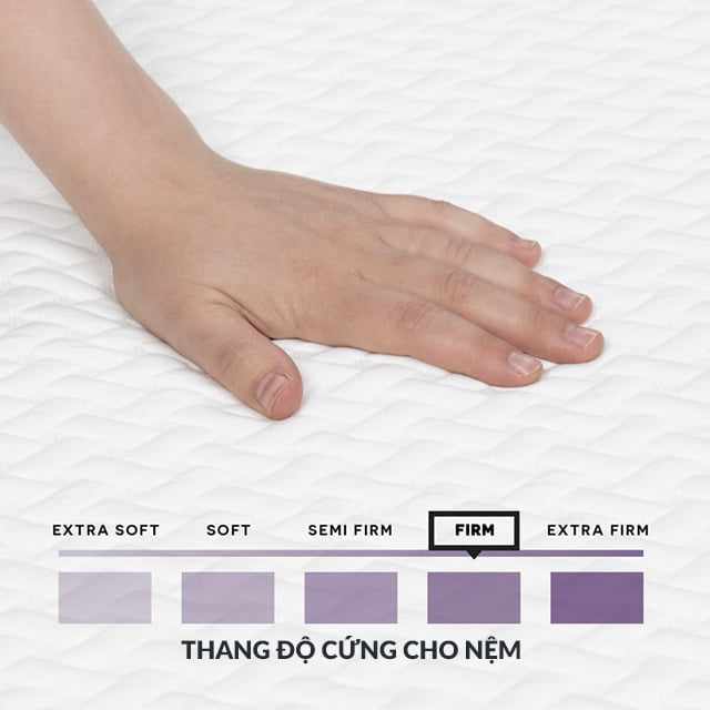Thang đo độ cứng mềm của nệm