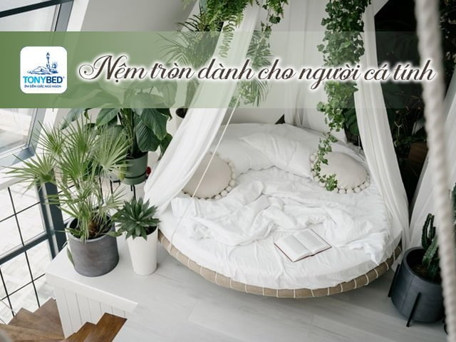 tìm hiểu điểm đặt biệt của nệm tròn