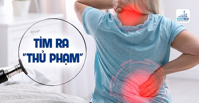 Tìm ra thủ phạm gây đau mỏi lưng