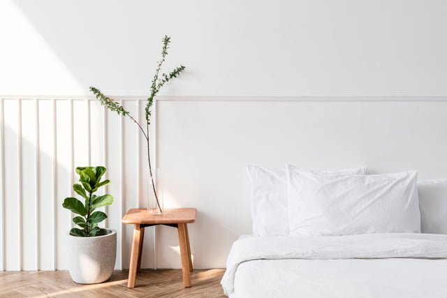 Trang trí nệm đặt trên sàn với cây cỏ tạo không gian thư thái, dễ chịu