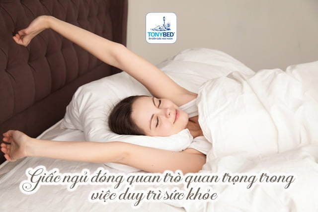 Vai trò của giấc ngủ đối với sức khỏe