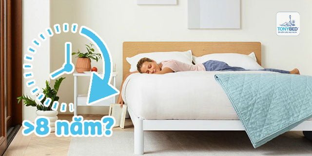 nệm đã sử dụng trên 8 năm