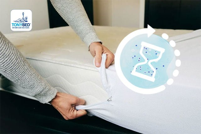 Giặt topper nệm định kỳ để bảo đảm nệm luôn được sạch sẽ