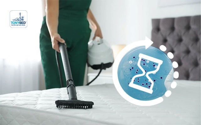 Vệ sinh nệm định kỳ để loại bỏ bụi bẩn, vi khuẩn