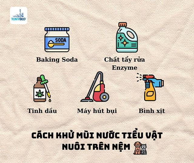 Khử triệt để mùi nước tiểu của vật nuôi trên nệm