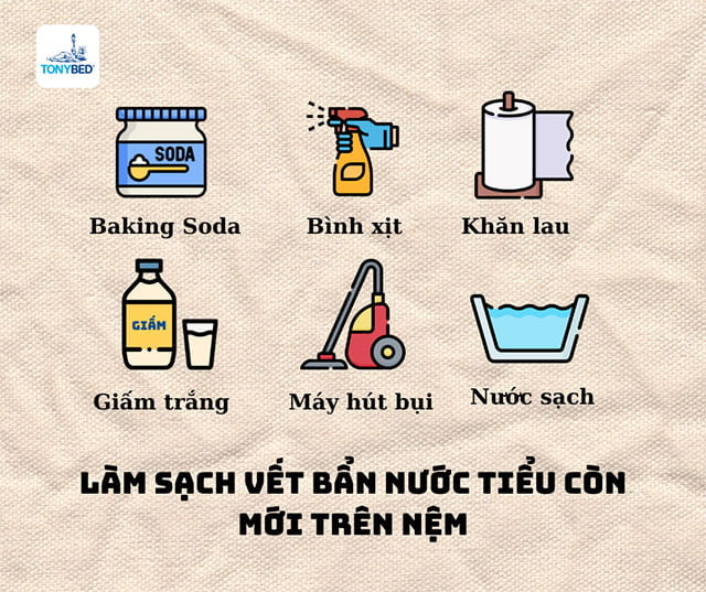 Làm sạch vết bẩn nước tiểu còn mới trên nệm