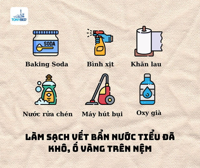 Làm sạch vết bẩn nước tiểu đã khô, ố vàng