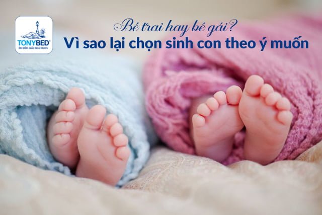 Sinh con trai, con gái theo ý muốn