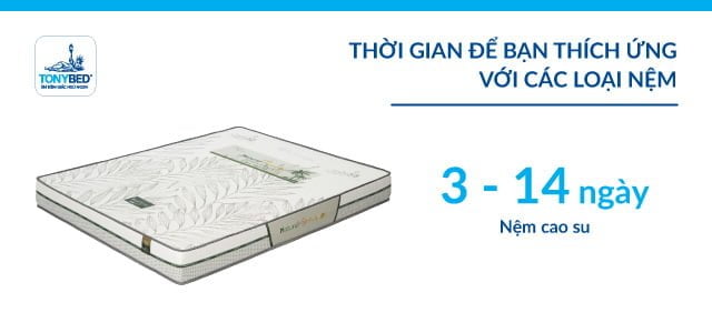 Phải mất từ 3 đến 14 ngày để bạn hoàn toàn thích nghi với nệm mới