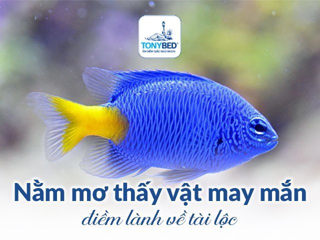 8 giấc mơ báo hiệu điềm lành