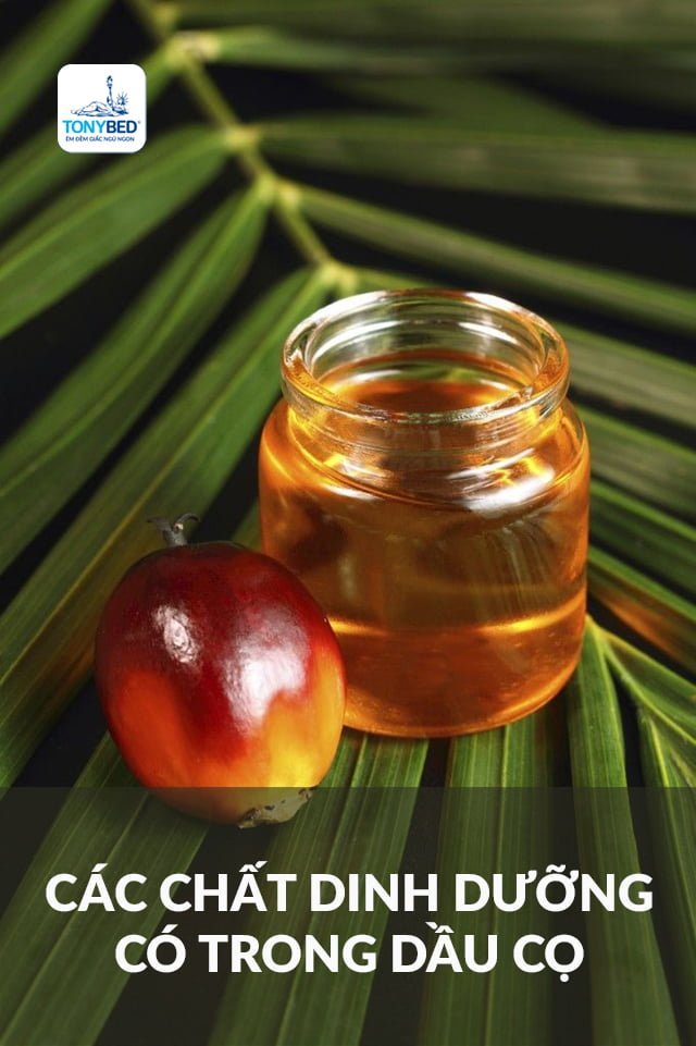 Dầu cọ cung cấp các chất dinh dưỡng cần thiết tốt cho cơ thể