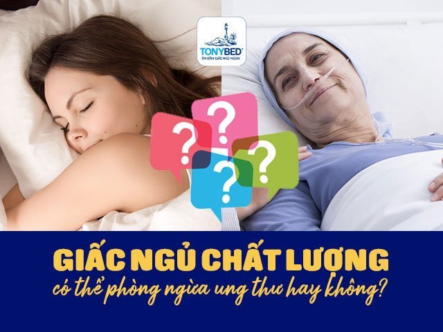 Giấc ngủ chất lượng có thể phòng ngừa ung thư