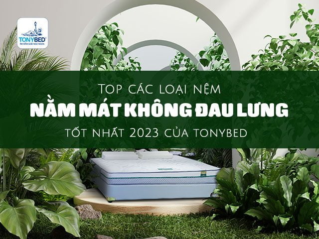 Nệm nằm mát không đau lưng