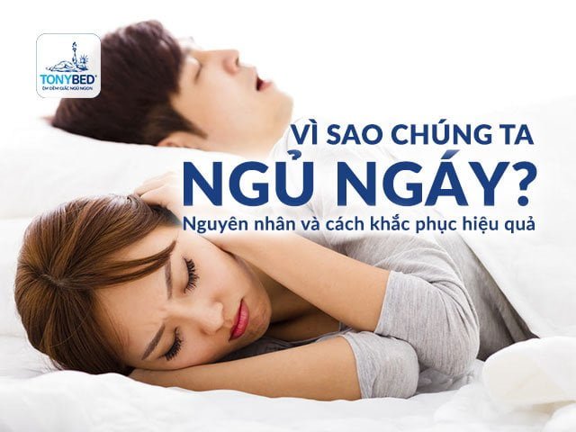Vì sao chúng ta ngủ ngáy