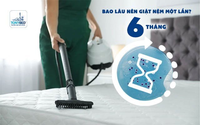 Nên vệ sinh nệm định kỳ 6 tháng 1 lần