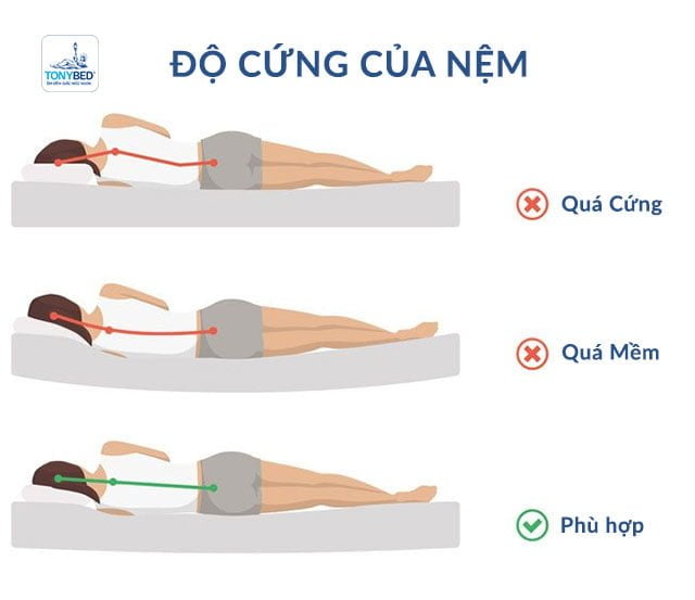 Độ cứng mềm của nệm