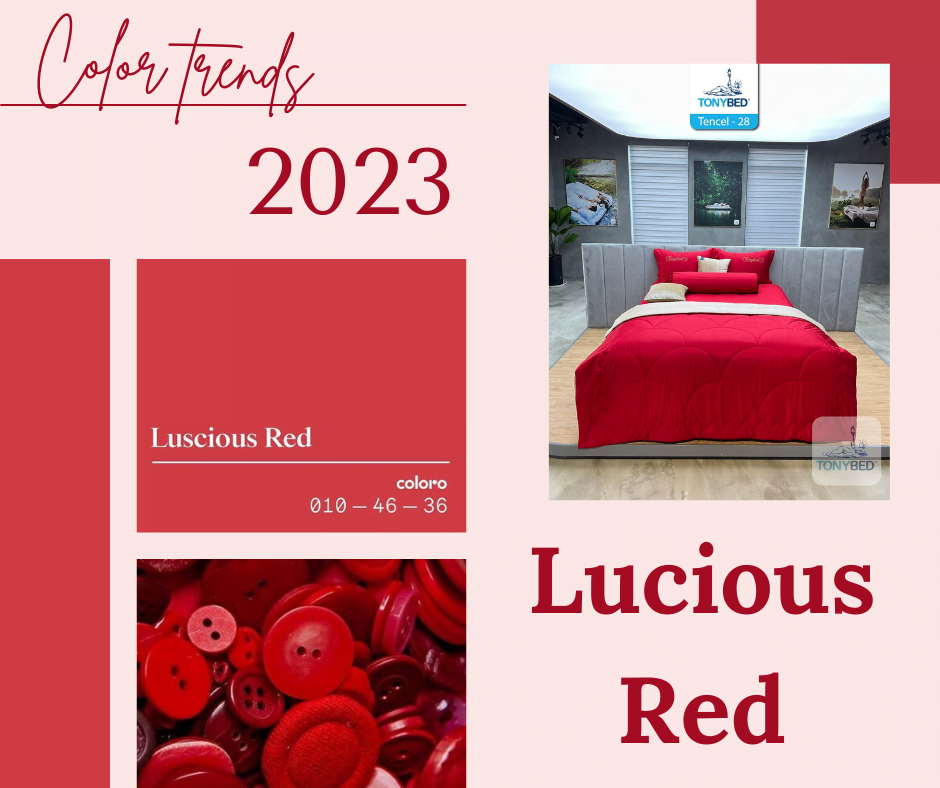 Bo ga trải giường màu đỏ Lucious