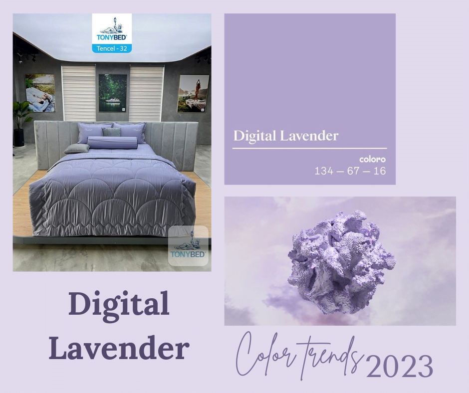 Ga trải giường màu tím lavender