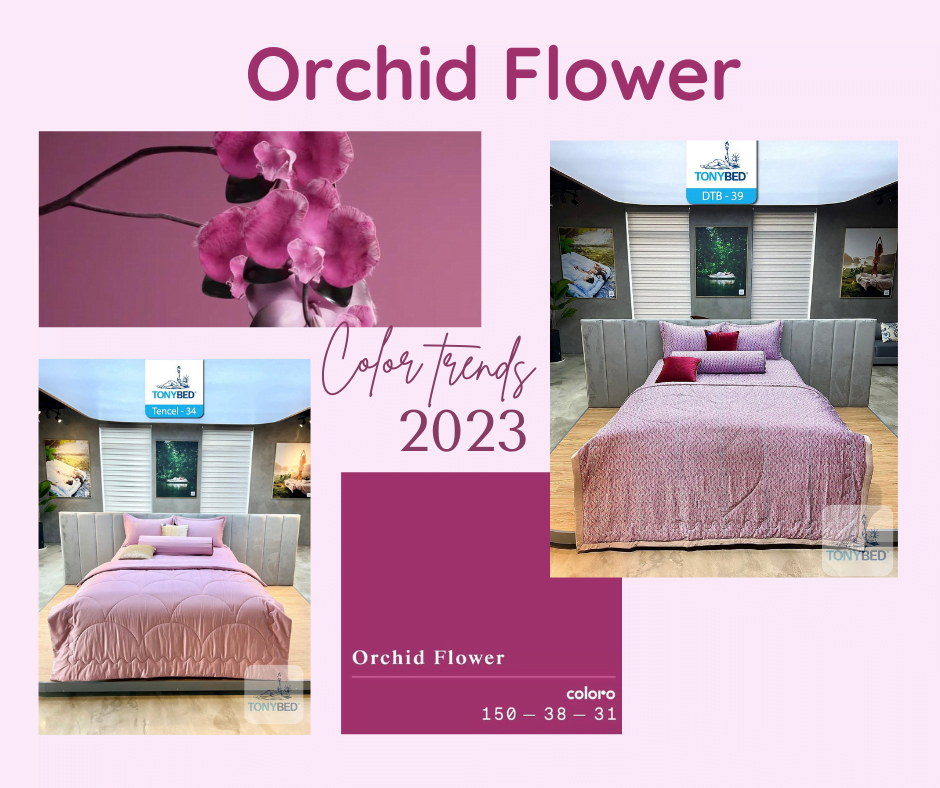 Ga trải giường màu orchid flower
