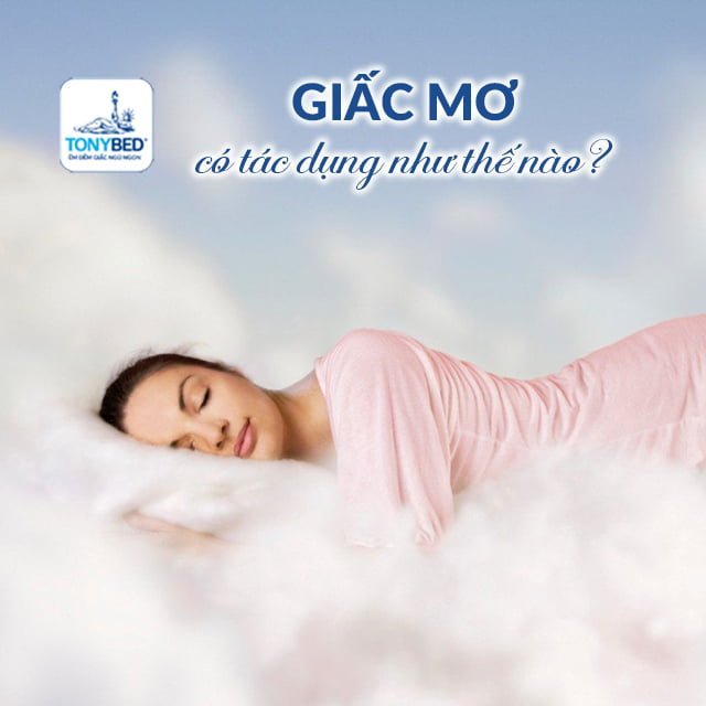 Giấc mơ có ảnh hưởng gì đến đời sống con người