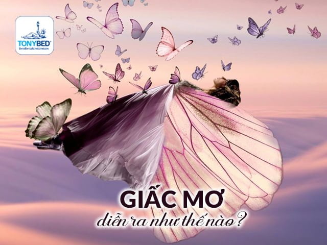 giac mo dien ra nhu the nao